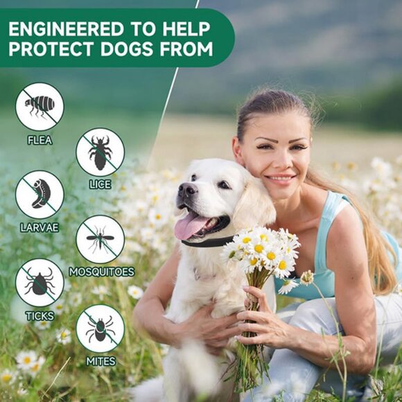 4 Pack Flea and Tick Collar for Dogs, 32 Months Protection, Adjustable, Black - Picture 2 of 9